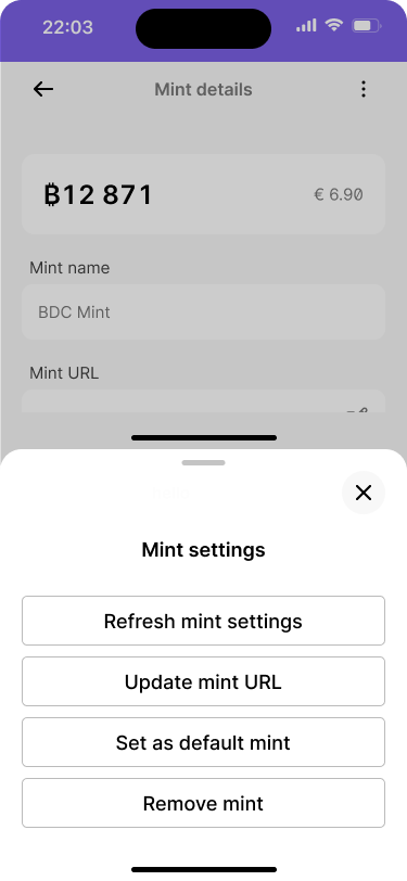 A mobile ecash wallet with a bottom sheet that lists the following actions, refresh mint settings, update mint url, set as default mint, and remove mint.