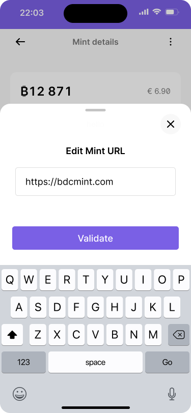 A mobile wallet interface showing a user typing a mint url into the mint url input field.