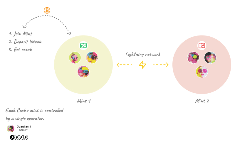 An illustration of how users, ecash, and a Cashu mint interact.