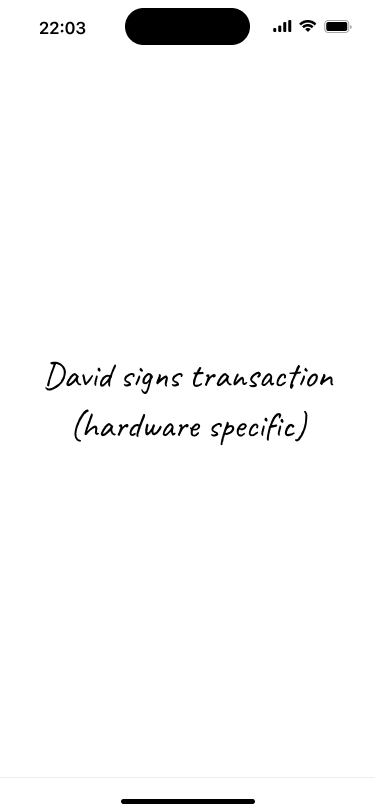 Placeholder screen representing the transaction signing flow.